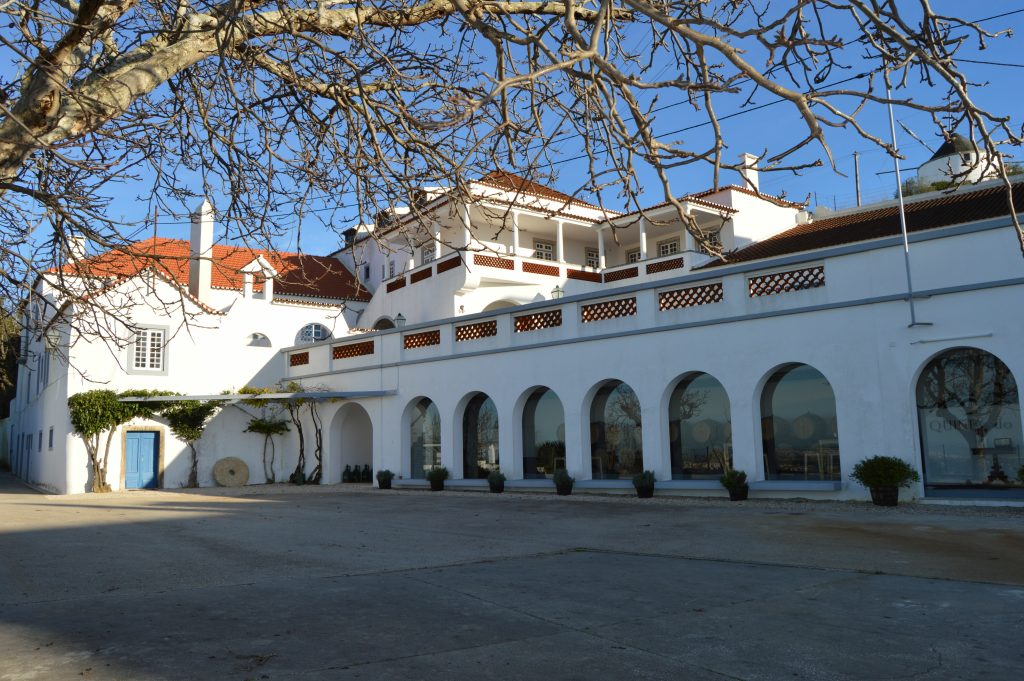 Quinta do Piloto, enoturismo, alojamento,