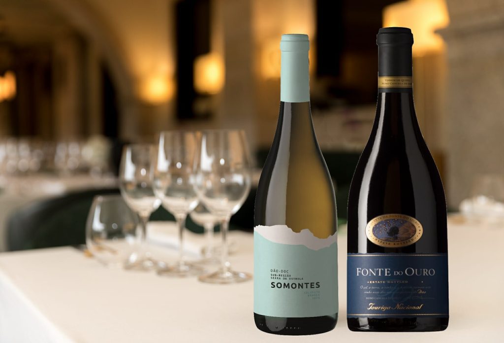 Os Melhores Vinhos do Dão Engarrafados 2017