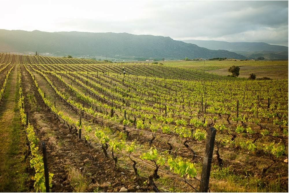 Quinta do Ataíde