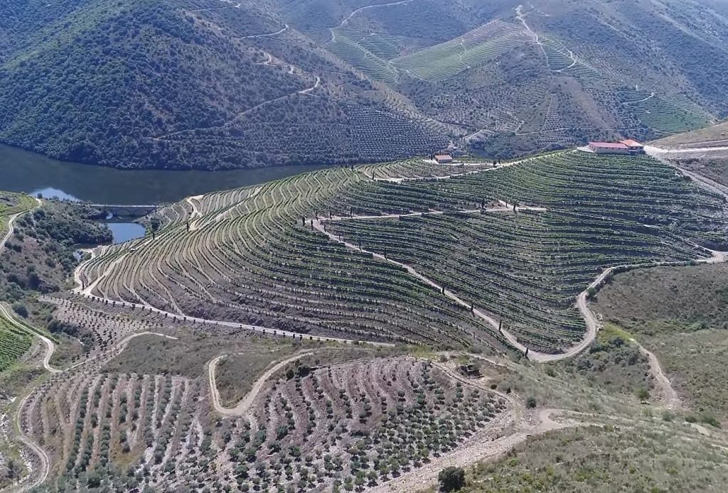Quinta de Canivães