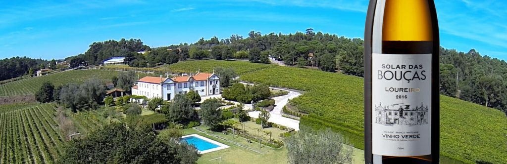 Solar das Bouças, casa , vinha