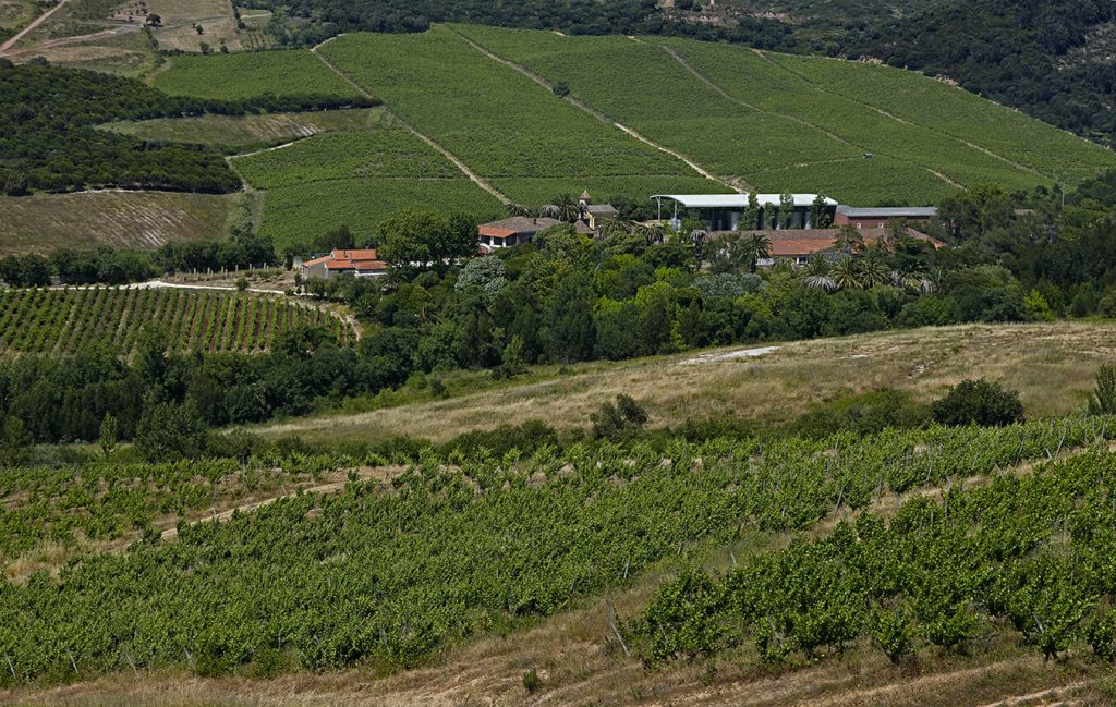 Quinta da Romeira, Sogrape