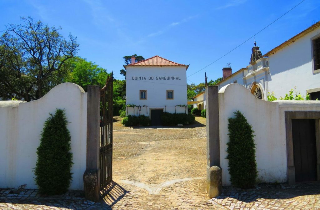 Entrada da Quinta do Sanguinhal