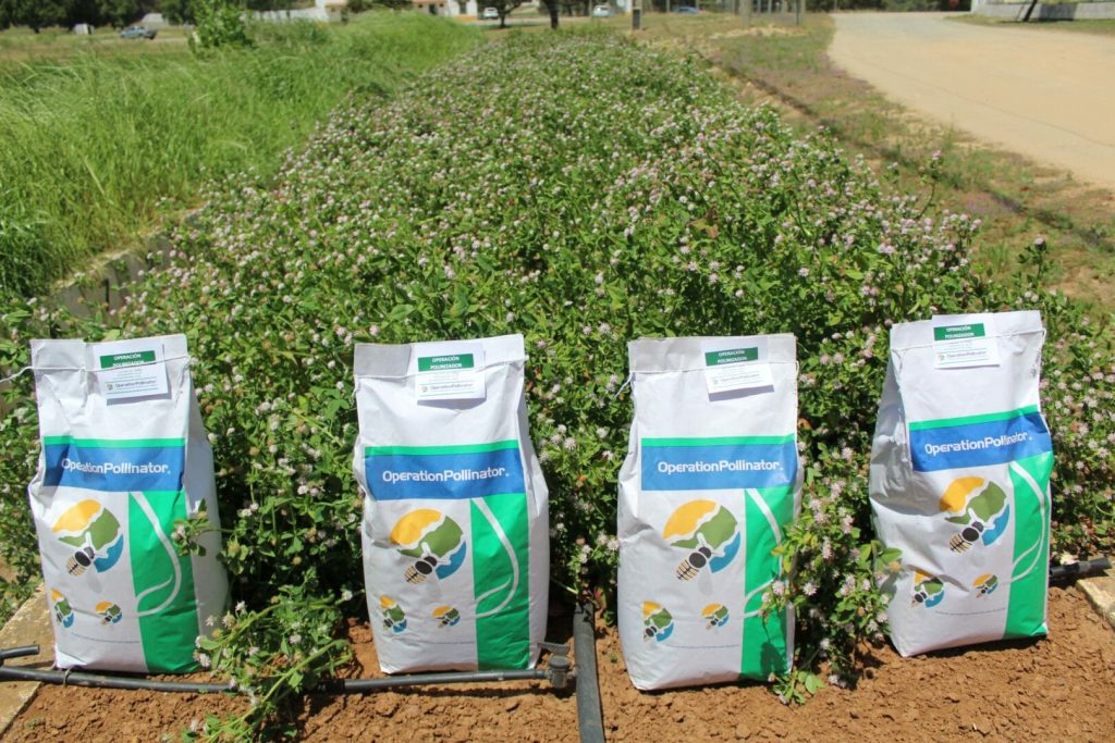 Operation Pollinator - produtos ensacados