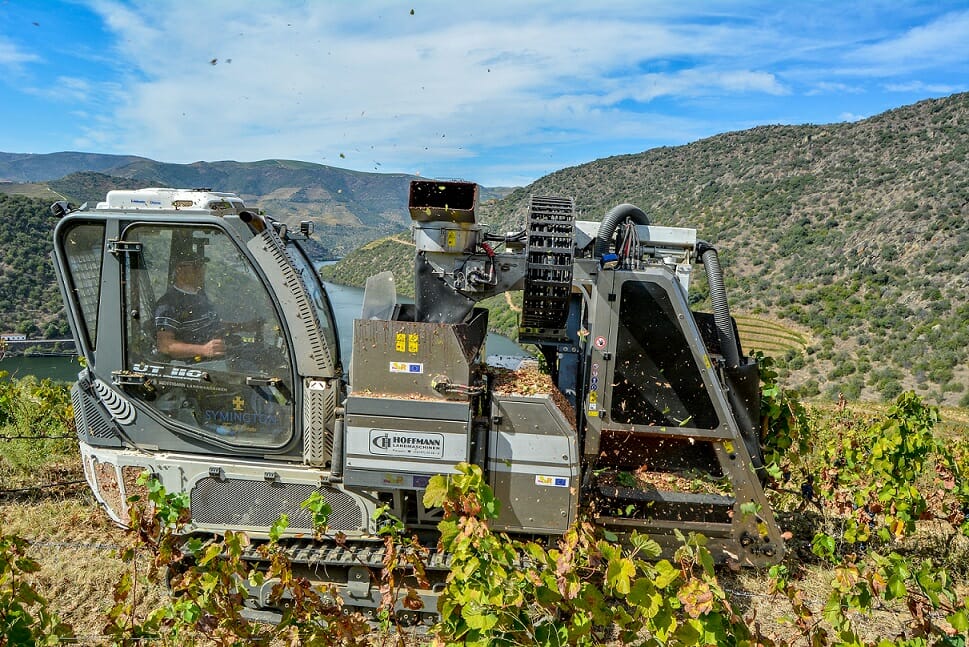 Máquina de vindimar no Douro, na Symington Family Estates