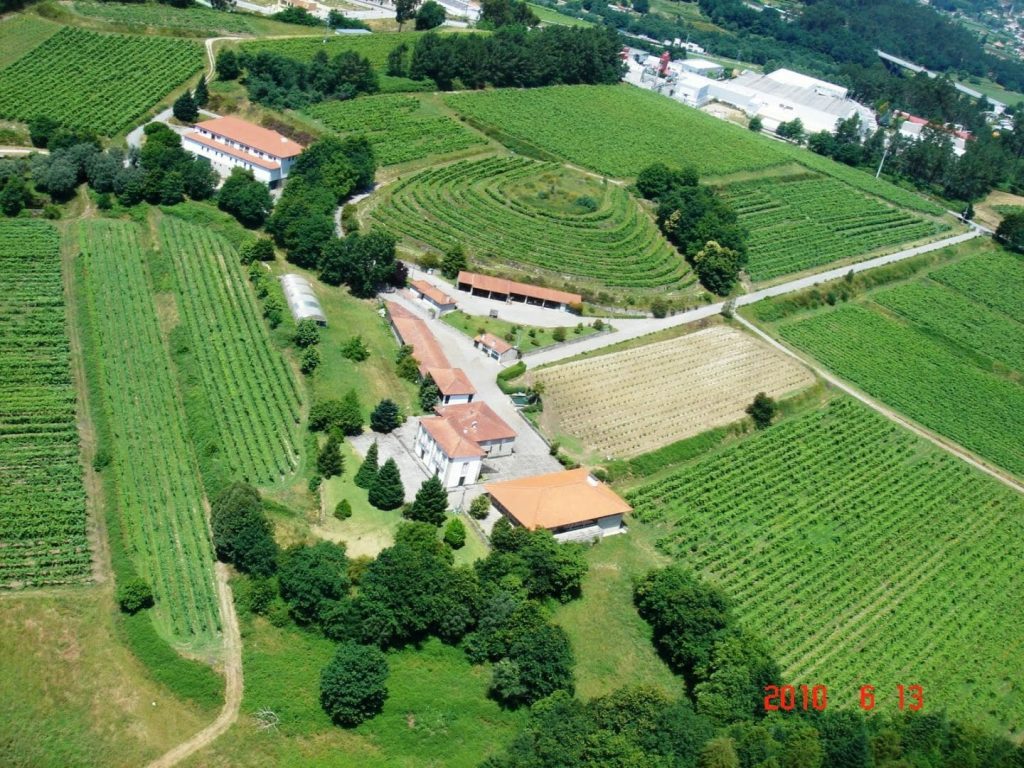 Região dos Vinhos Verdes - foto genérica