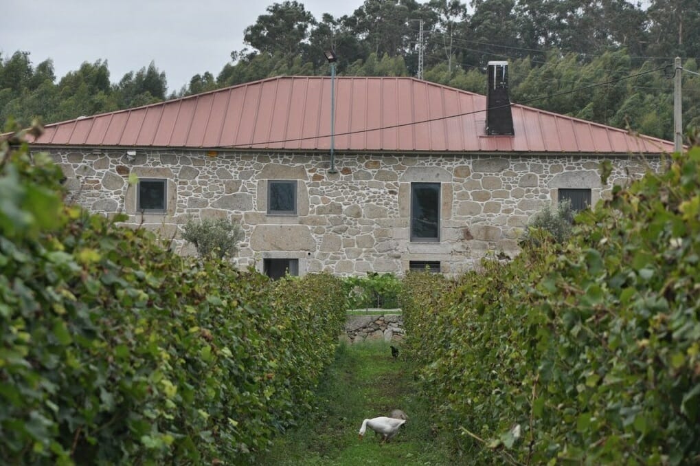 Quinta de Gomariz: casa e vinha