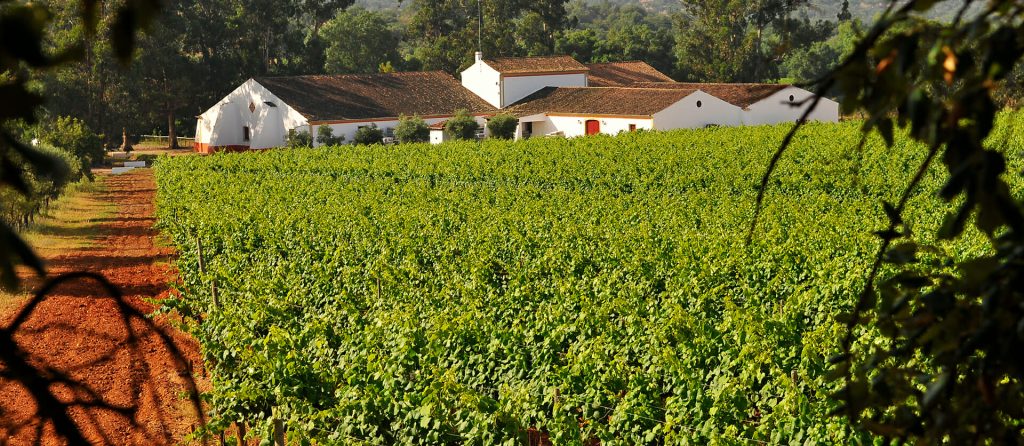 Herdade do Mouchão