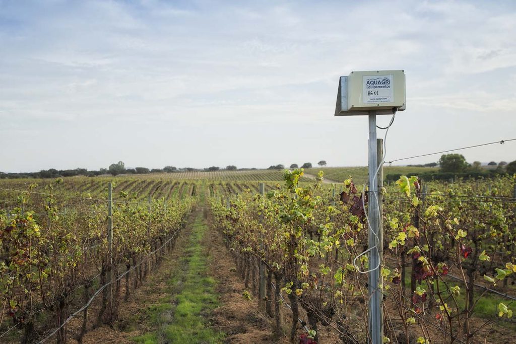 Vinhos do Alentejo e Águas de Portugal