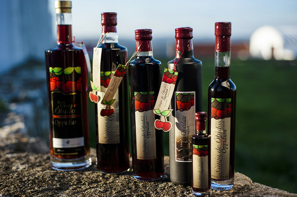 Oppidum Ginja de Óbidos
