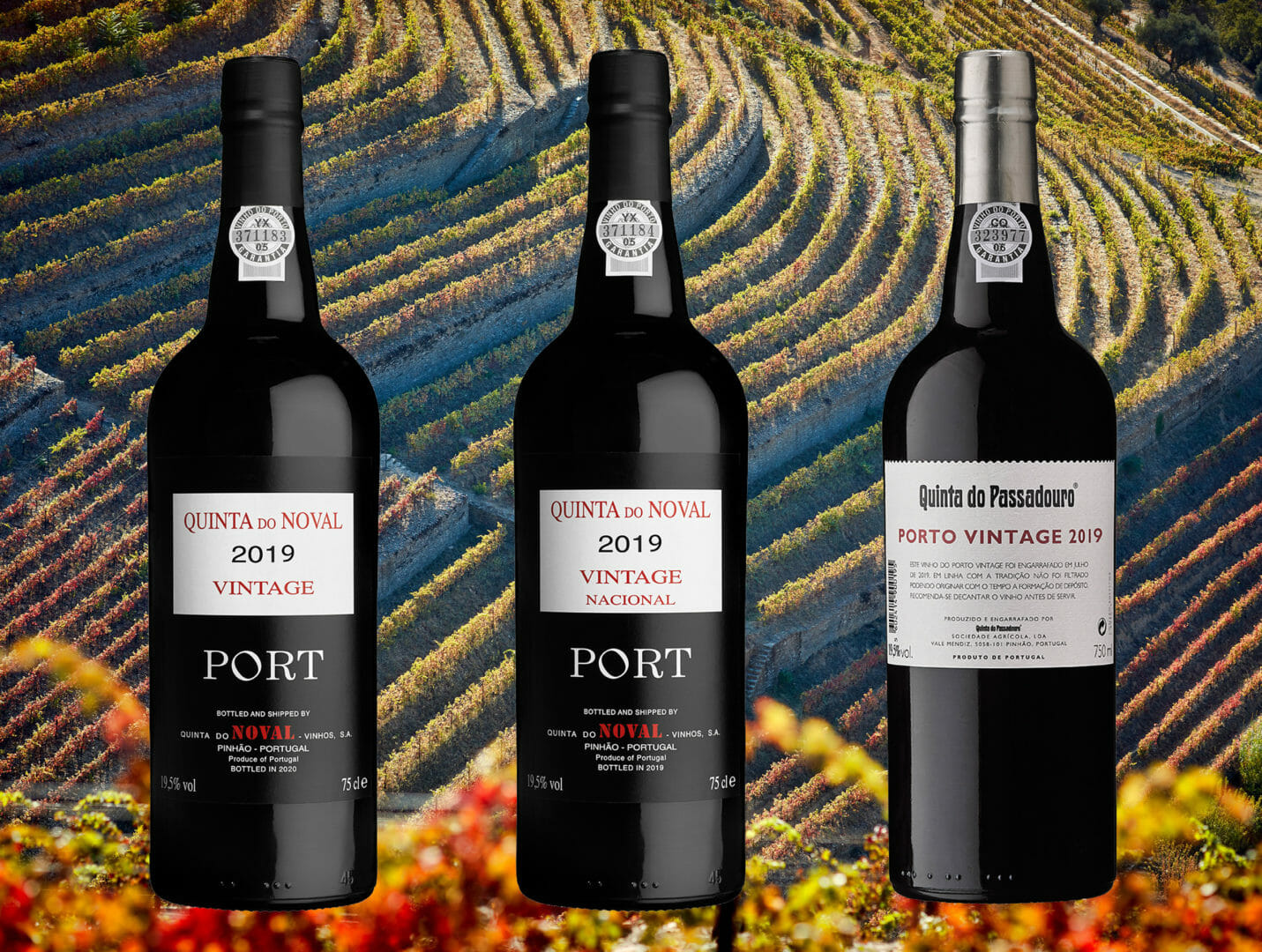 Quinta do Noval Vintage 2019
