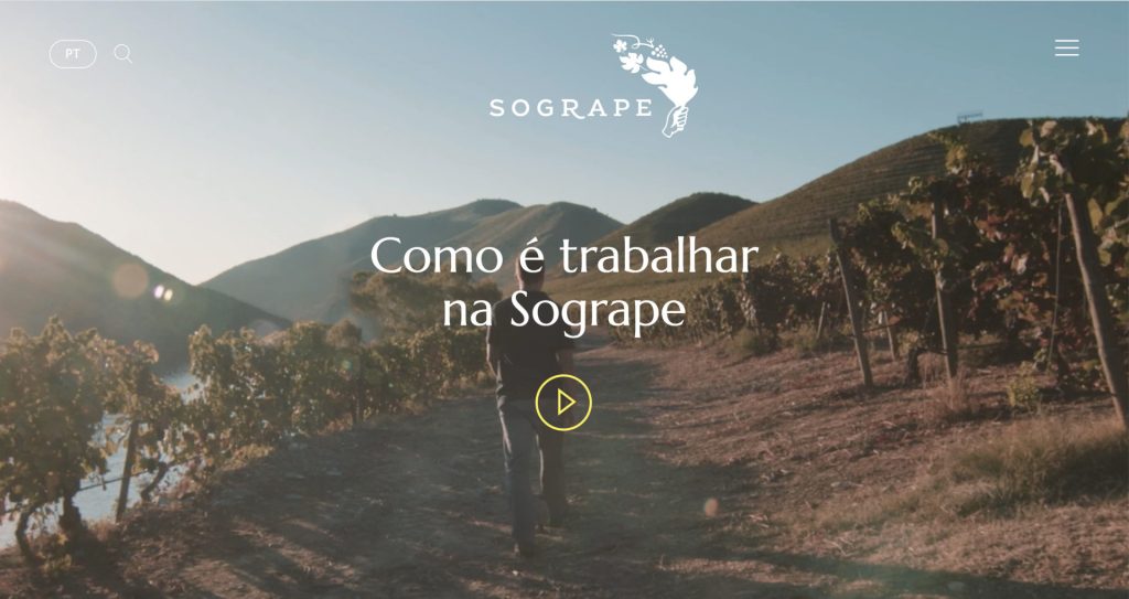 Sogrape novo website