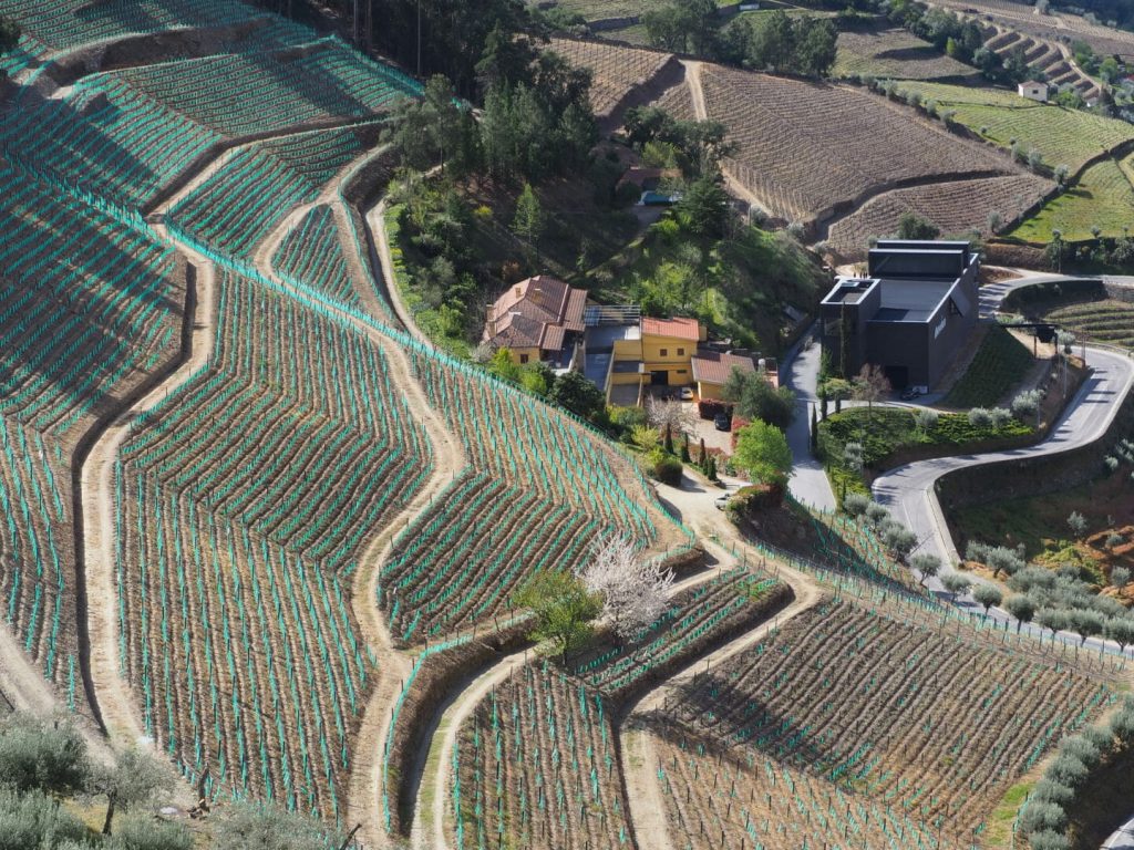 Quinta da Gaivosa com novas colheitas mas atentos à tradição.