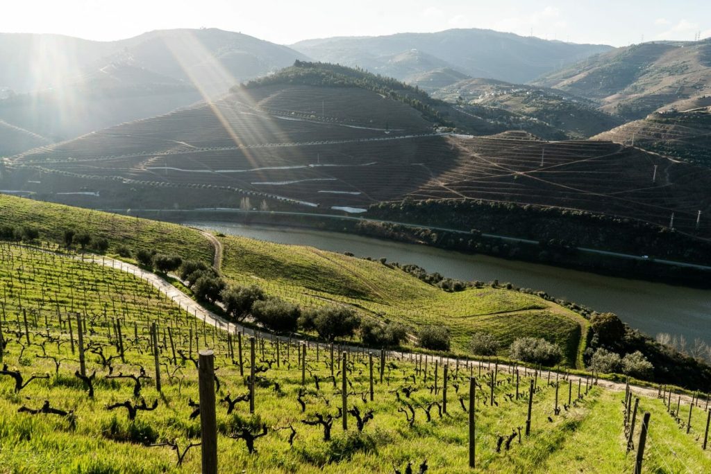 Quinta Murças sustentabilidade