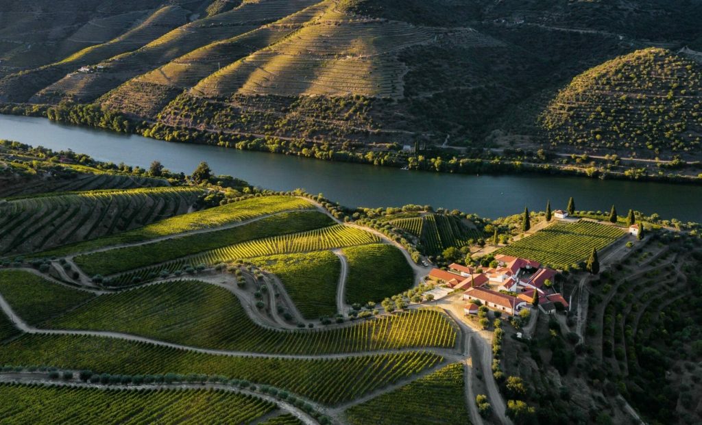 Chryseia luz do Douro
