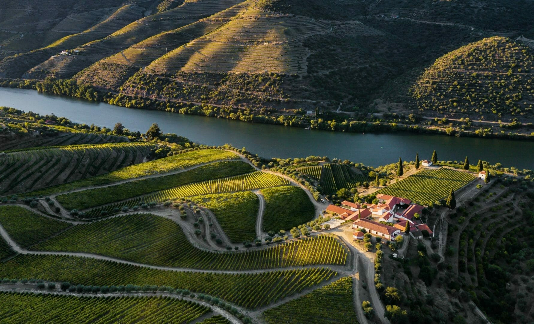 Chryseia luz do Douro
