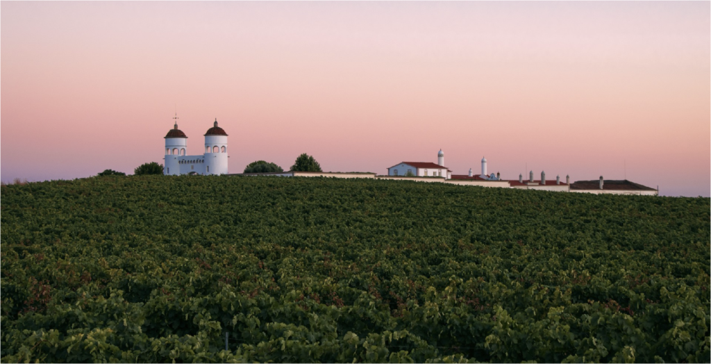 Abegoaria Vidigal Wines