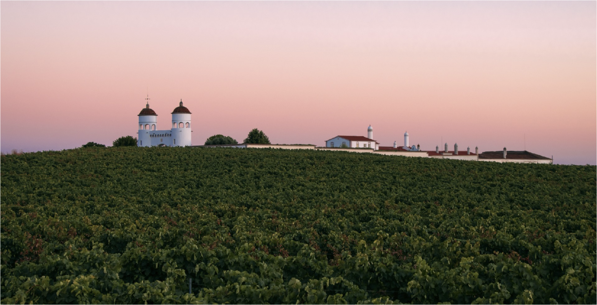 Abegoaria Vidigal Wines