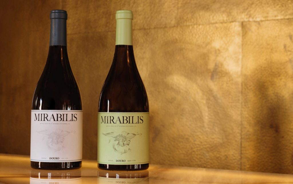 Mirabilis 10 Anos