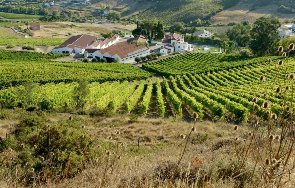 Quinta Sebastião DOC Arruda
