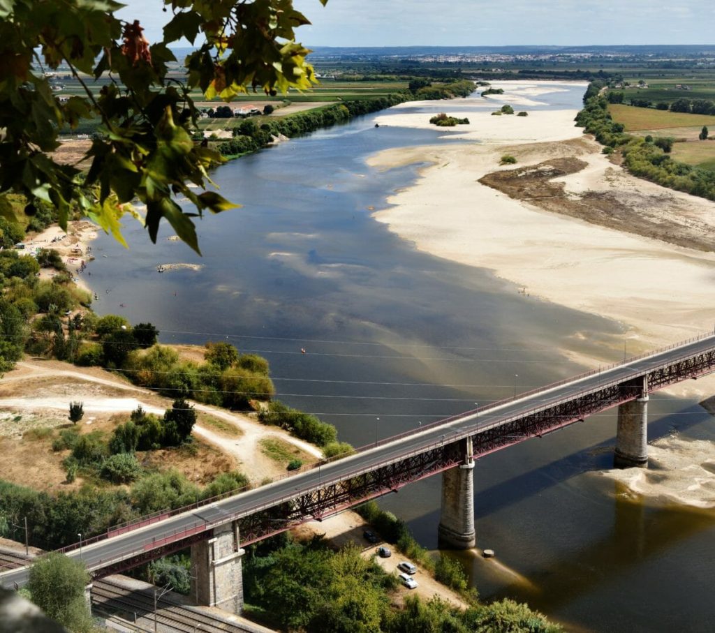 mesa tejo copo