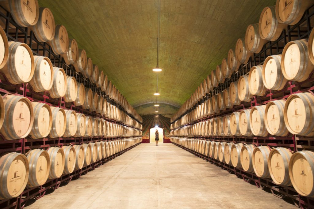 escolha mestre vinho