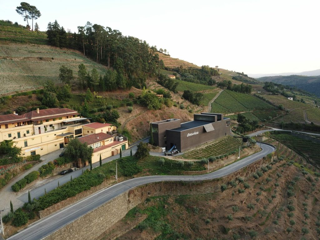 escolha mestre vinho
