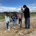 Caminhos Cruzados agro-ecológico