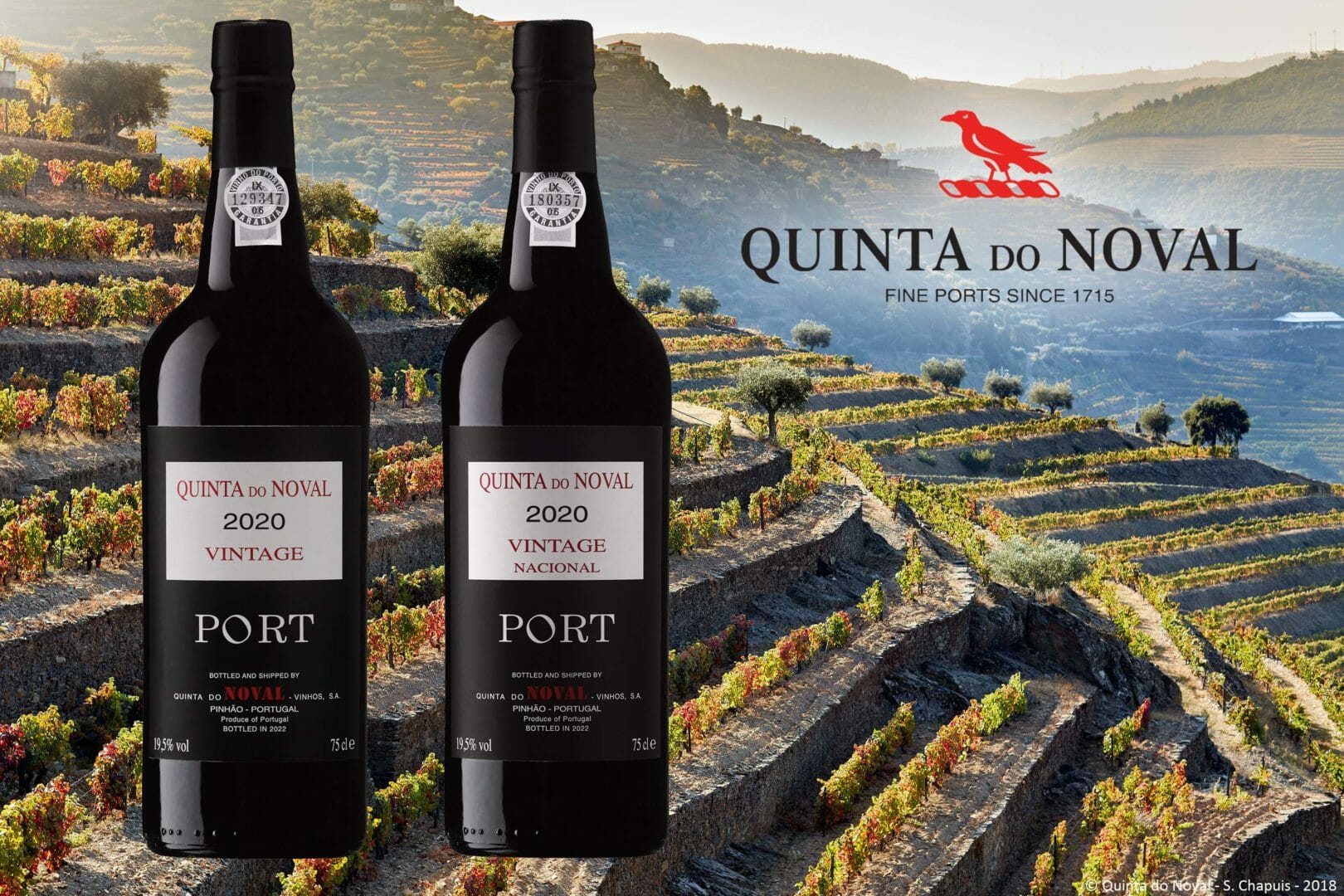 Noval Vintage 2020