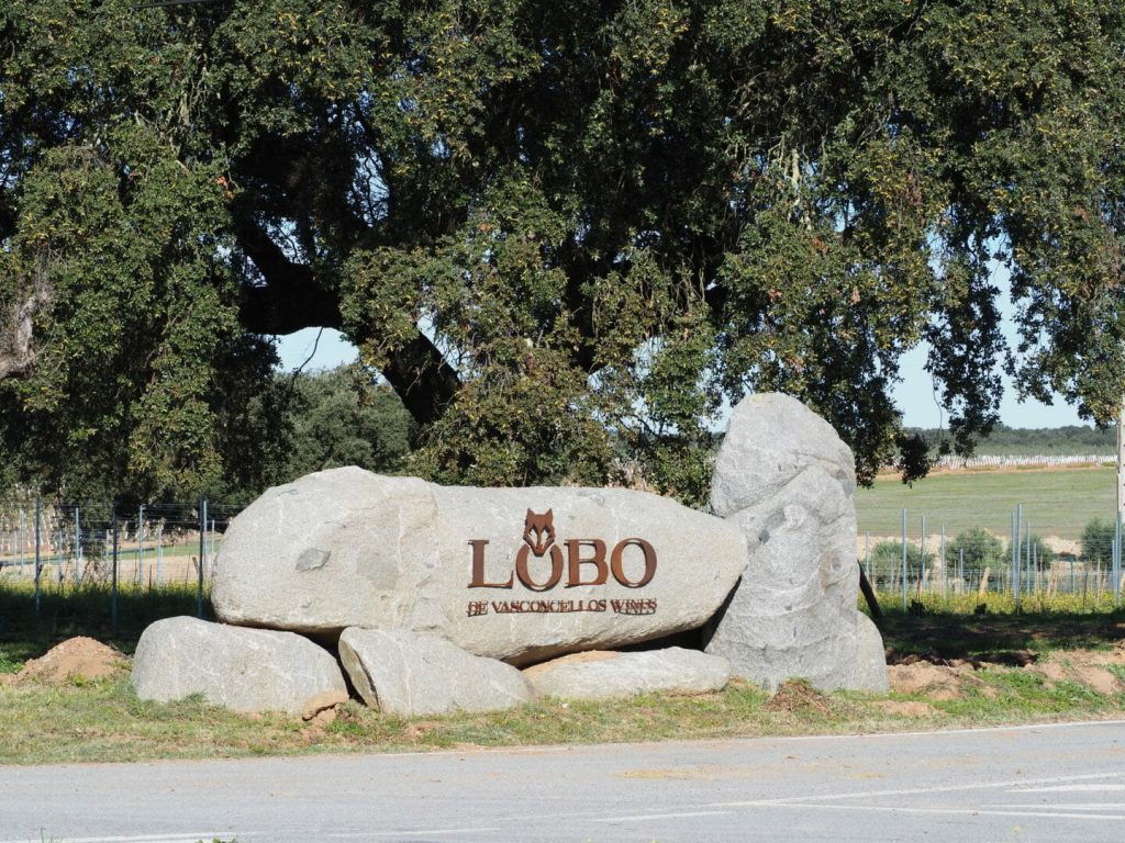 Alentejo Manuel Lobo