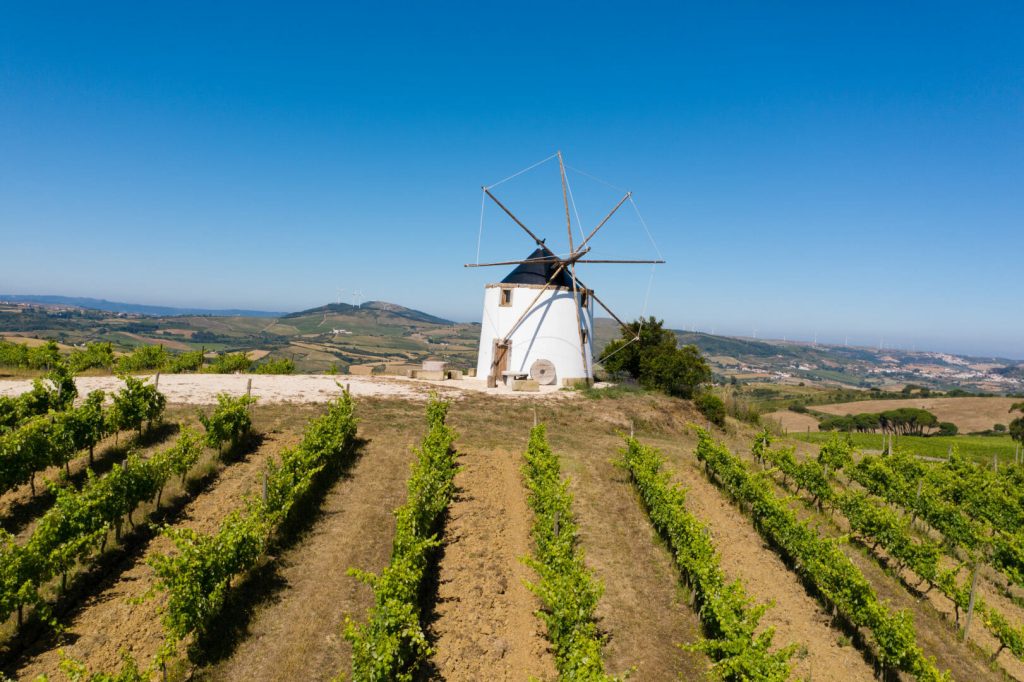 Lindeborg Wines