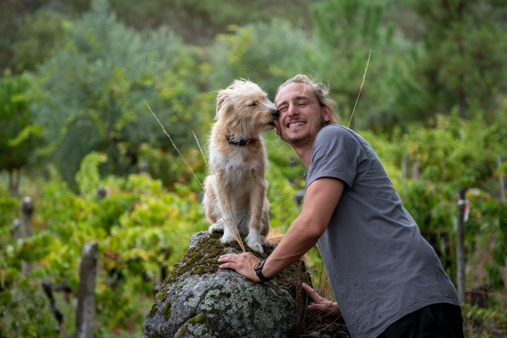 entrevista daniel niepoort