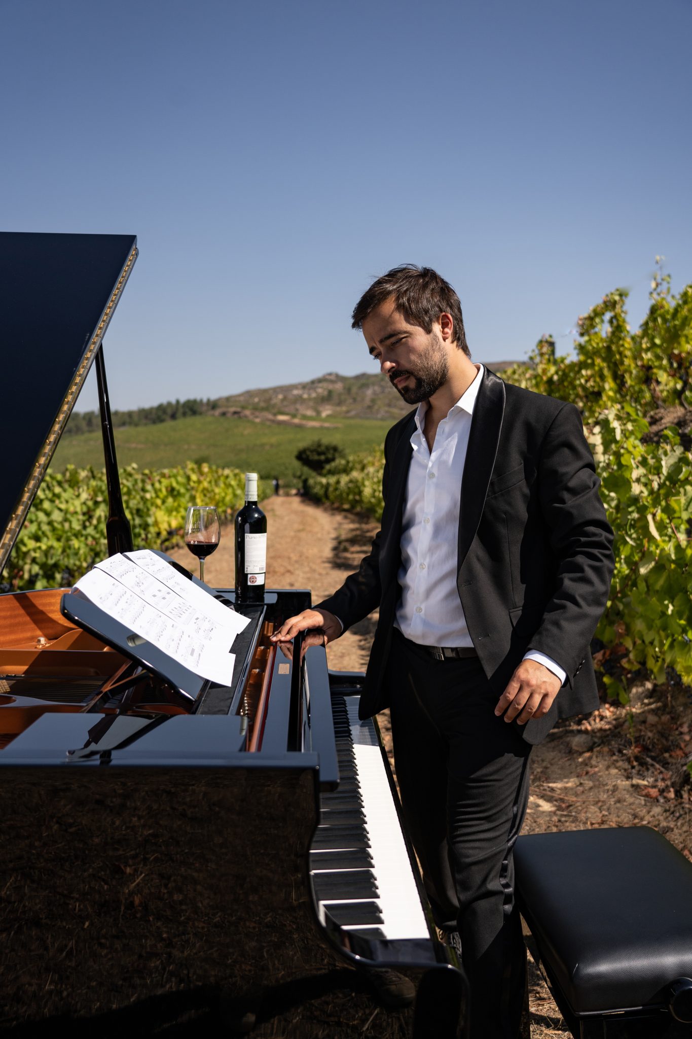 Vinhos Piano Vasco Dantas