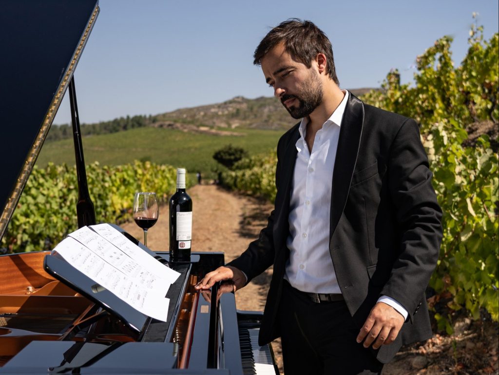 Vinhos Piano Vasco Dantas