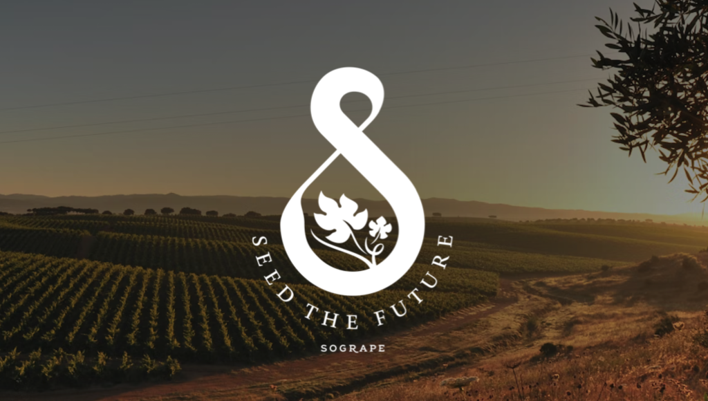 Sogrape Seed The Future