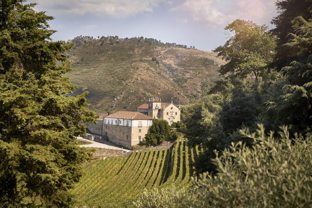 Kranemann enoturismo