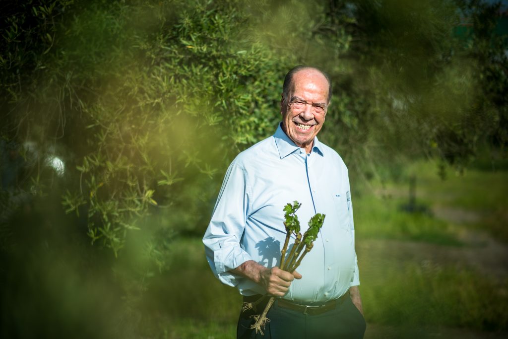 Rui Nabeiro