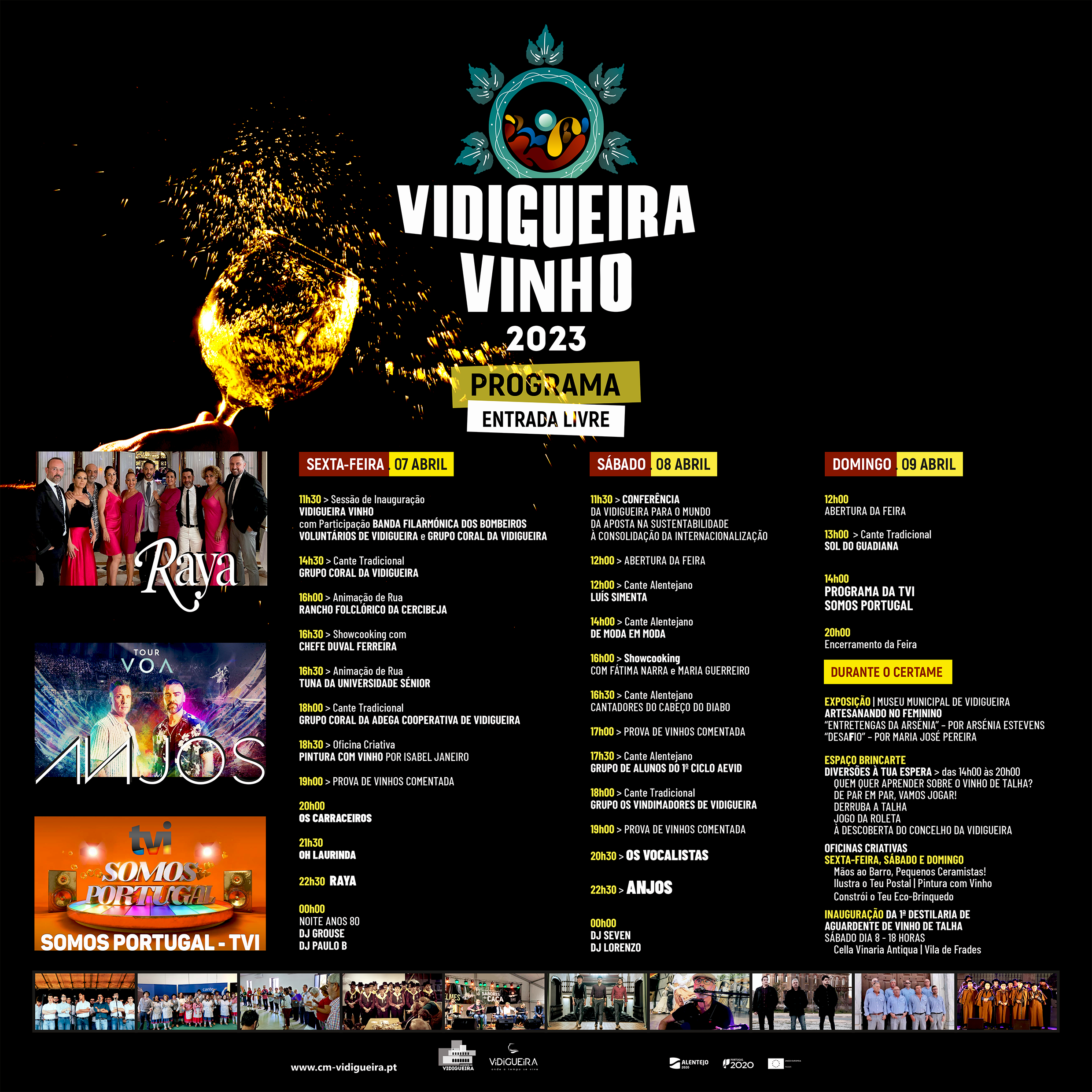 Vidigueira Vinho