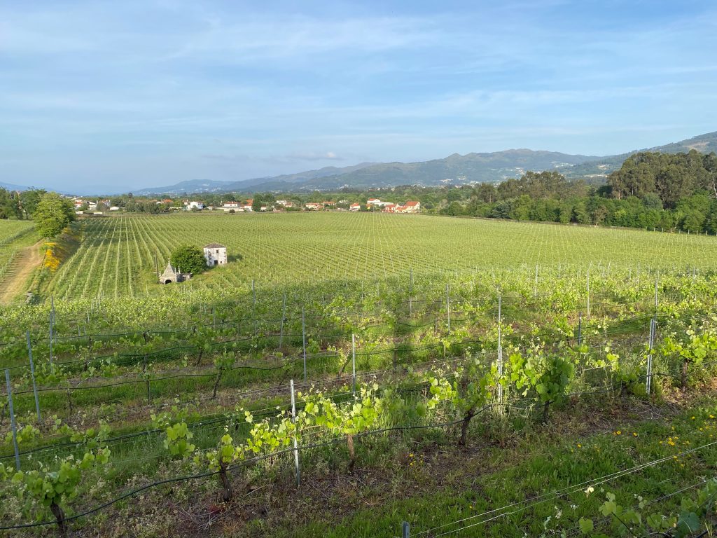 Granvinhos Vinhos Verdes