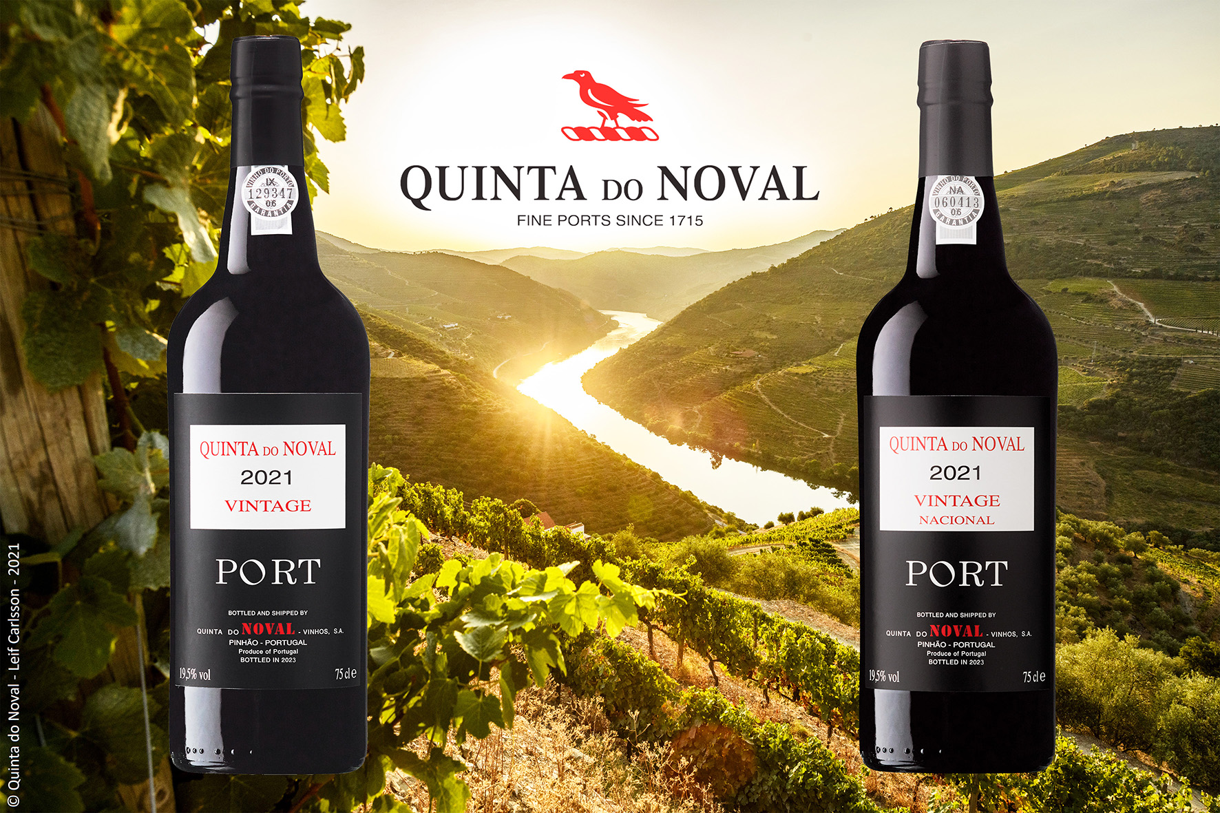 Quinta do Noval Vintage