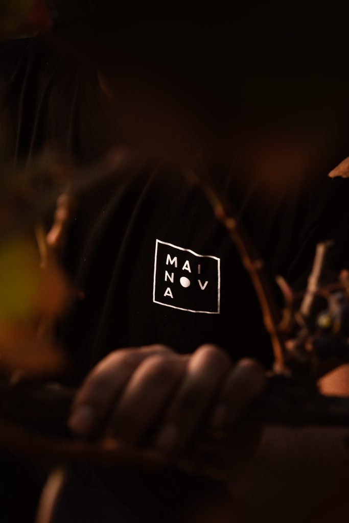 Mainova vindima nocturna