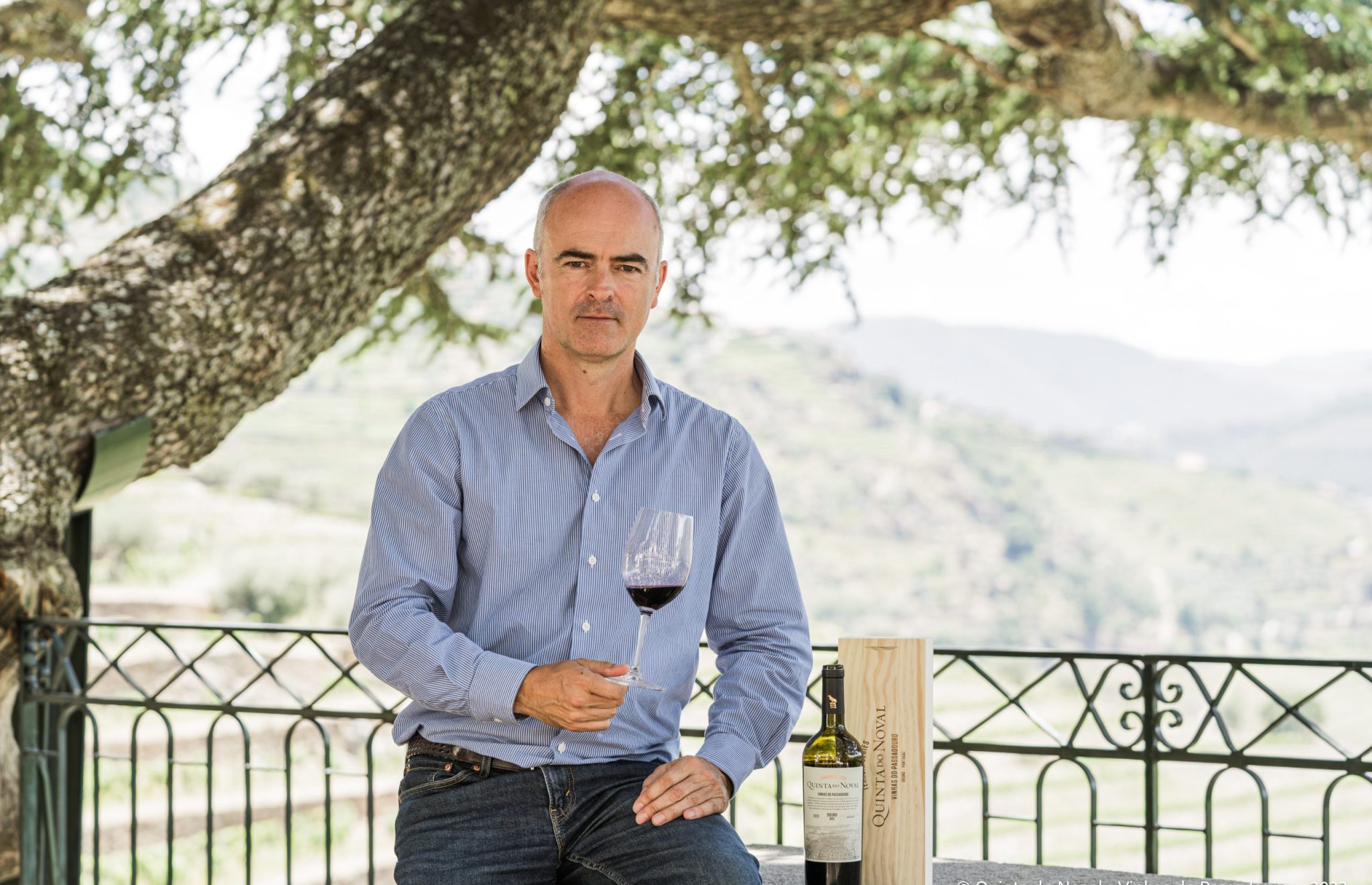 Quinta Noval Terroir Series