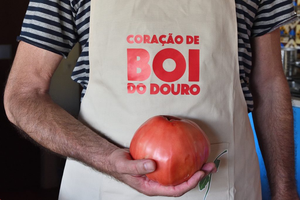 Festa Tomate Coração Boi