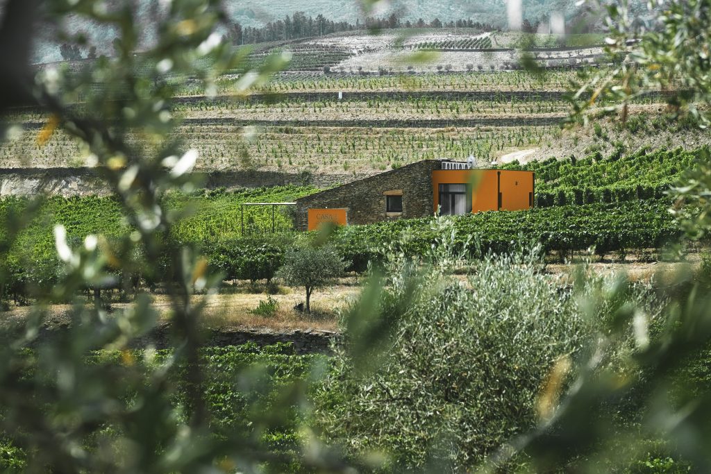 Quinta do Monte Travesso