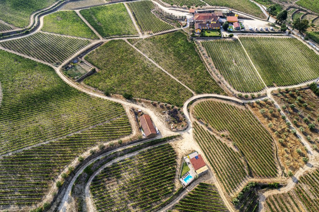 Quinta do Monte Travesso