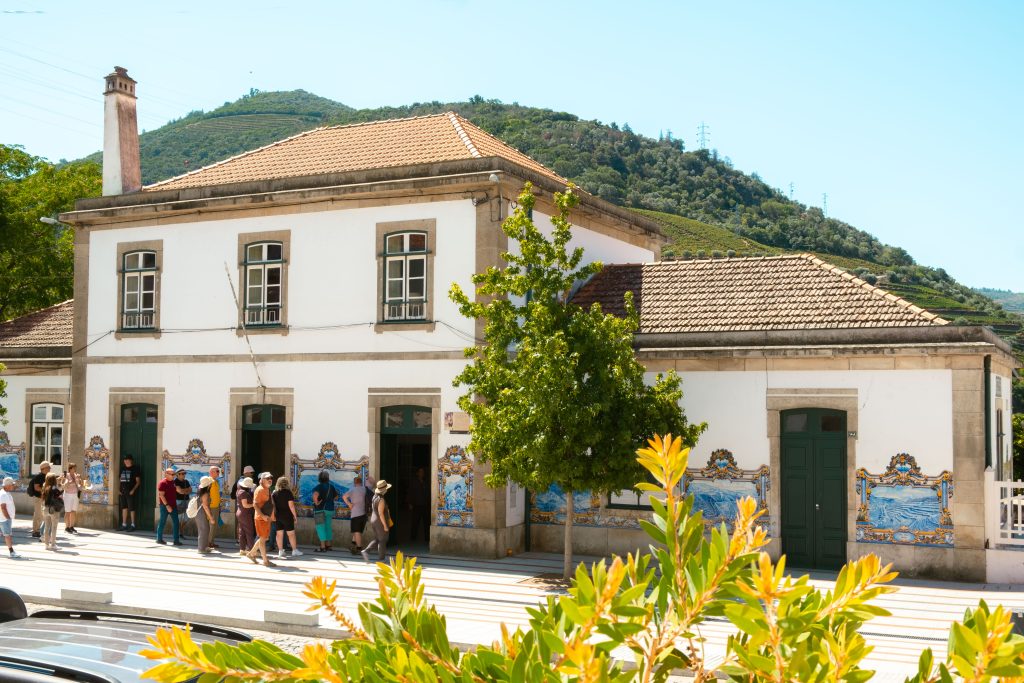 Sogrape pop-up pinhão
