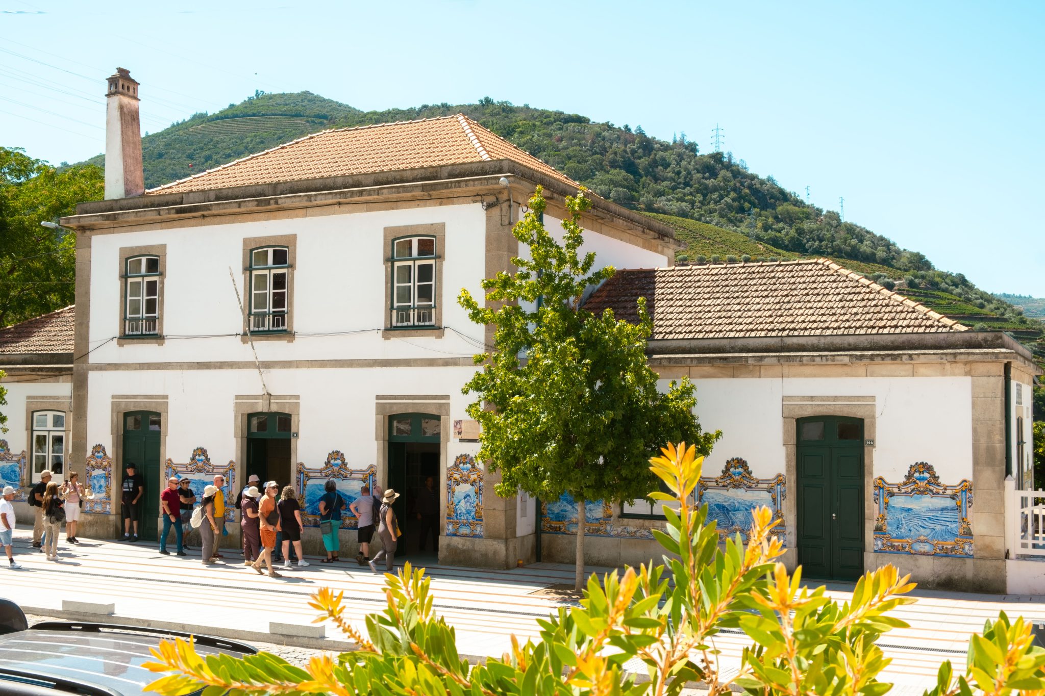 Sogrape pop-up pinhão
