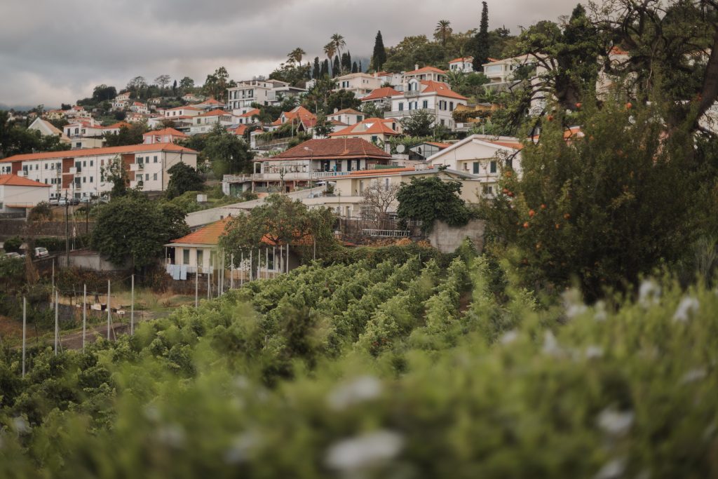 Madeira Wine Company