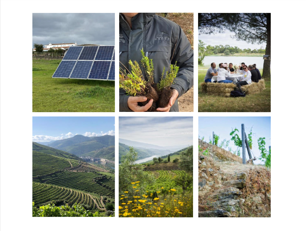 Sustentabilidade Grous Valbom
