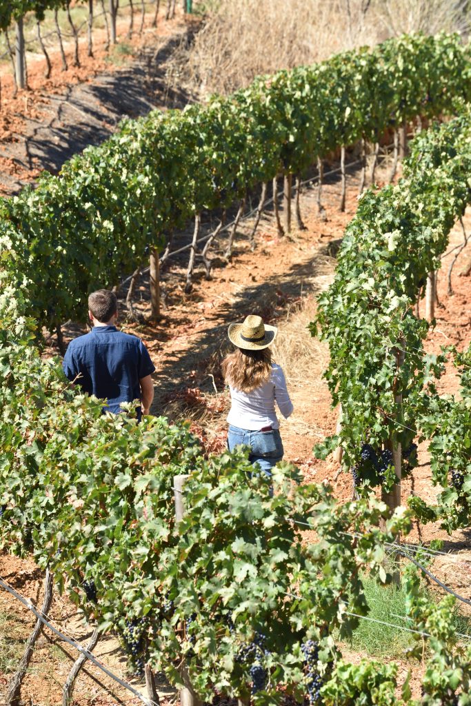 Roteiro Algarve